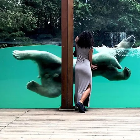 Authentique A Clermont-creans Avec Piscine Partagee * لا فْلوش