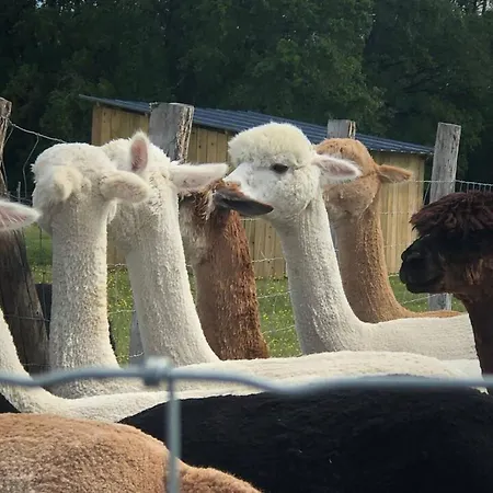 شاليه Authentique A Clermont-creans Avec Piscine Partagee لا فْلوش