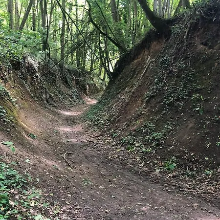 Authentique A Clermont-creans Avec Piscine Partagee *