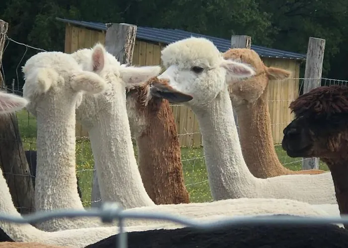 샬레 Authentique A Clermont-creans Avec Piscine Partagee 라플레슈