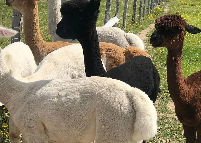 Authentique A Clermont-creans Avec Piscine Partagee 샬레 라플레슈