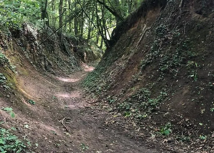 Authentique A Clermont-creans Avec Piscine Partagee *